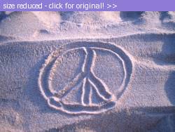 Posted image has been reduced in size. Size of original image (119934 KB) is 640 x 480 pixels. Click image to view full size and better quality!