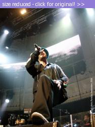 Posted image has been reduced in size. Size of original image (1685614 KB) is 2736 x 3648 pixels. Click image to view full size and better quality!