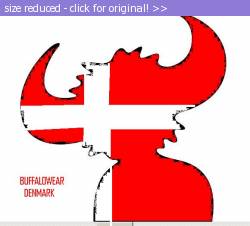 Posted image has been reduced in size. Size of original image (25713 KB) is 580 x 524 pixels. Click image to view full size and better quality!