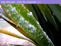 Posted image has been reduced in size. Size of original image (269975 KB) is 1024 x 766 pixels. Click image to view full size and better quality!