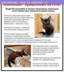 Posted image has been reduced in size. Size of original image (74404 KB) is 578 x 653 pixels. Click image to view full size and better quality!
