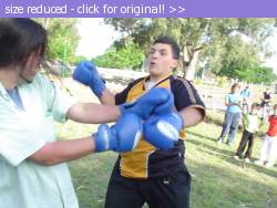 Posted image has been reduced in size. Size of original image (154472 KB) is 640 x 480 pixels. Click image to view full size and better quality!