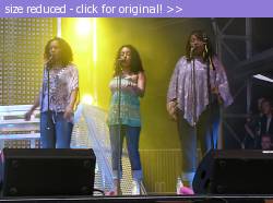 Posted image has been reduced in size. Size of original image (85886 KB) is 510 x 378 pixels. Click image to view full size and better quality!