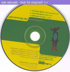 Posted image has been reduced in size. Size of original image (100600 KB) is 314 x 322 pixels. Click image to view full size and better quality!