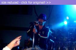 Posted image has been reduced in size. Size of original image (330645 KB) is 1023 x 682 pixels. Click image to view full size and better quality!