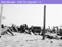 Posted image has been reduced in size. Size of original image (734930 KB) is 1600 x 1200 pixels. Click image to view full size and better quality!