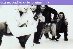 Posted image has been reduced in size. Size of original image (38837 KB) is 565 x 379 pixels. Click image to view full size and better quality!