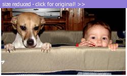 Posted image has been reduced in size. Size of original image (150158 KB) is 800 x 480 pixels. Click image to view full size and better quality!