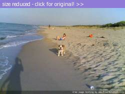 Posted image has been reduced in size. Size of original image (24504 KB) is 640 x 480 pixels. Click image to view full size and better quality!