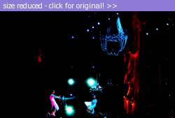 Posted image has been reduced in size. Size of original image (21410 KB) is 600 x 405 pixels. Click image to view full size and better quality!