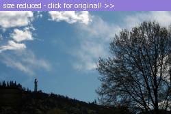 Posted image has been reduced in size. Size of original image (505597 KB) is 800 x 533 pixels. Click image to view full size and better quality!