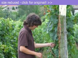 Posted image has been reduced in size. Size of original image (128587 KB) is 1024 x 768 pixels. Click image to view full size and better quality!