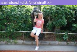 Posted image has been reduced in size. Size of original image (119558 KB) is 800 x 536 pixels. Click image to view full size and better quality!