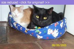 Posted image has been reduced in size. Size of original image (73491 KB) is 640 x 427 pixels. Click image to view full size and better quality!