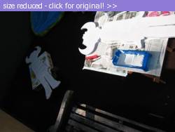 Posted image has been reduced in size. Size of original image (39919 KB) is 533 x 400 pixels. Click image to view full size and better quality!