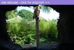 Posted image has been reduced in size. Size of original image (97710 KB) is 800 x 536 pixels. Click image to view full size and better quality!