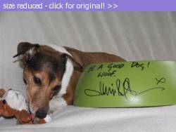 Posted image has been reduced in size. Size of original image (136494 KB) is 1024 x 768 pixels. Click image to view full size and better quality!