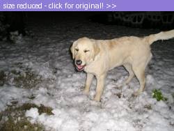 Posted image has been reduced in size. Size of original image (152455 KB) is 1024 x 768 pixels. Click image to view full size and better quality!