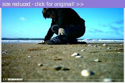 Posted image has been reduced in size. Size of original image (142171 KB) is 800 x 533 pixels. Click image to view full size and better quality!