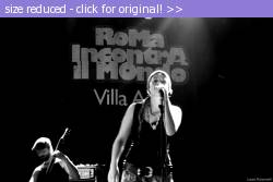 Posted image has been reduced in size. Size of original image (146796 KB) is 1200 x 800 pixels. Click image to view full size and better quality!