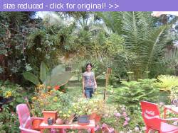 Posted image has been reduced in size. Size of original image (279725 KB) is 1024 x 768 pixels. Click image to view full size and better quality!
