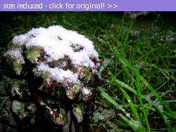 Posted image has been reduced in size. Size of original image (335689 KB) is 1024 x 766 pixels. Click image to view full size and better quality!