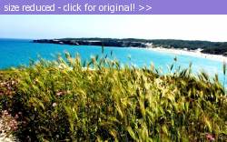 Posted image has been reduced in size. Size of original image (140824 KB) is 640 x 397 pixels. Click image to view full size and better quality!