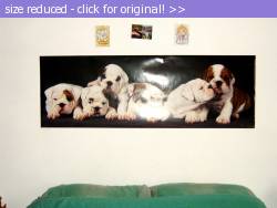 Posted image has been reduced in size. Size of original image (322890 KB) is 1024 x 768 pixels. Click image to view full size and better quality!