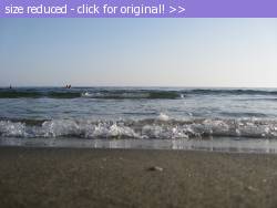 Posted image has been reduced in size. Size of original image (1218219 KB) is 2048 x 1536 pixels. Click image to view full size and better quality!