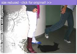 Posted image has been reduced in size. Size of original image (124243 KB) is 800 x 554 pixels. Click image to view full size and better quality!