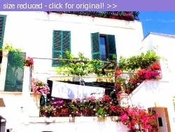 Posted image has been reduced in size. Size of original image (137747 KB) is 640 x 480 pixels. Click image to view full size and better quality!