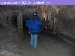Posted image has been reduced in size. Size of original image (156279 KB) is 640 x 480 pixels. Click image to view full size and better quality!