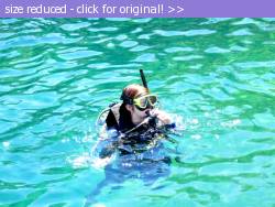 Posted image has been reduced in size. Size of original image (362272 KB) is 1024 x 768 pixels. Click image to view full size and better quality!