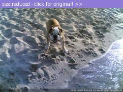 Posted image has been reduced in size. Size of original image (53229 KB) is 640 x 480 pixels. Click image to view full size and better quality!