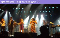 Posted image has been reduced in size. Size of original image (98808 KB) is 800 x 514 pixels. Click image to view full size and better quality!