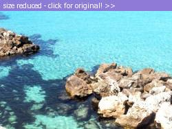 Posted image has been reduced in size. Size of original image (130773 KB) is 640 x 480 pixels. Click image to view full size and better quality!