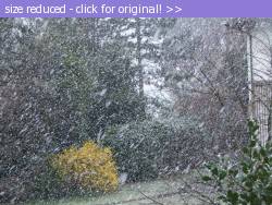 Posted image has been reduced in size. Size of original image (176801 KB) is 1024 x 768 pixels. Click image to view full size and better quality!
