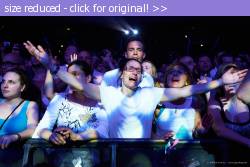 Posted image has been reduced in size. Size of original image (246773 KB) is 1000 x 667 pixels. Click image to view full size and better quality!