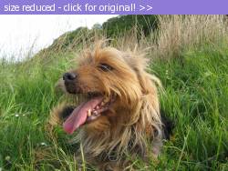 Posted image has been reduced in size. Size of original image (2086924 KB) is 2048 x 1536 pixels. Click image to view full size and better quality!