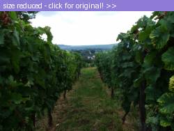 Posted image has been reduced in size. Size of original image (135244 KB) is 1024 x 768 pixels. Click image to view full size and better quality!