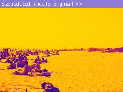 Posted image has been reduced in size. Size of original image (1253465 KB) is 1600 x 1200 pixels. Click image to view full size and better quality!