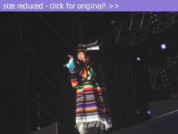 Posted image has been reduced in size. Size of original image (31751 KB) is 820 x 615 pixels. Click image to view full size and better quality!