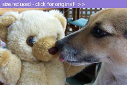 Posted image has been reduced in size. Size of original image (230220 KB) is 1143 x 772 pixels. Click image to view full size and better quality!