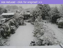 Posted image has been reduced in size. Size of original image (176839 KB) is 800 x 600 pixels. Click image to view full size and better quality!