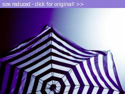 Posted image has been reduced in size. Size of original image (1490606 KB) is 1600 x 1200 pixels. Click image to view full size and better quality!