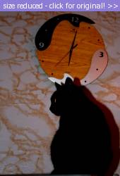 Posted image has been reduced in size. Size of original image (406619 KB) is 543 x 800 pixels. Click image to view full size and better quality!