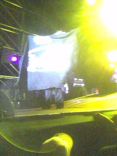 Posted image has been reduced in size. Size of original image (27959 KB) is 375 x 500 pixels. Click image to view full size and better quality!