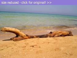 Posted image has been reduced in size. Size of original image (241492 KB) is 1024 x 768 pixels. Click image to view full size and better quality!