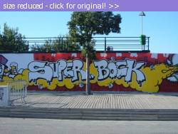 Posted image has been reduced in size. Size of original image (137135 KB) is 1010 x 758 pixels. Click image to view full size and better quality!
