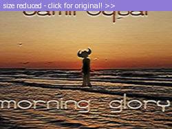 Posted image has been reduced in size. Size of original image (63237 KB) is 640 x 480 pixels. Click image to view full size and better quality!